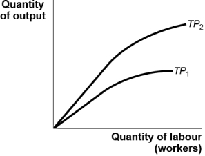Use the following to answer questions : Figure: Change in the Total Product   -(Figure: Change in the Total Product) Use Figure: Change in the Total Product.As indicated by the change in a production function from TP<sub>1</sub> to TP<sub>2</sub>,the marginal product of labour curve has: A)  shifted upward. B)  shifted downward. C)  not moved. D)  become inverted.