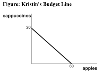 Use the following to answer questions :   -(Figure: Kristin's Budget Line) Use Figure Kristin's Budget Line.The price of a cup of cappuccino is $3,and the price of an apple is $1.Suppose Kristin initially consumes 10 cups of cappuccino and 30 apples.Then the price of apples increases to $3 each and the price of cappuccino remains unchanged.As a result of this price change,Kristin's optimal consumption bundle is now nine cups of cappuccino and 11 apples.If Kristin's income could be adjusted so that she could maintain her initial level of utility after the price change,she would consume more cappuccino and more apples.This reflects: A)  a substitution effect from the price change and an income effect from the income change. B)  the substitution effect alone. C)  the income effect alone. D)  neither a substitution nor an income effect.