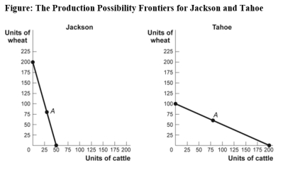 Use the following to answer questions :   -(Figure: The Production Possibility Frontiers for Jackson and Tahoe) Use Figure: The Production Possibility Frontiers for Jackson and Tahoe.In autarky,Jackson produces and consumes 30 head of cattle and 80 kilograms of wheat,while Tahoe produces and consumes 80 head of cattle and 60 kilograms of wheat._____ has a(n) _____ advantage in the production of _____. A)  Jackson;comparative;cattle B)  Tahoe;comparative;wheat C)  Jackson;comparative;wheat D)  Jackson;absolute;cattle