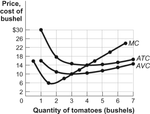 Use the following to answer questions: Figure: Revenues, Costs, and Profits for Tomato Producers III   -(Figure: Revenues, Costs, and Profits for Tomato Producers III)  Look at the figure Revenues, Costs, and Profits for Tomato Producers III. The market for tomatoes is perfectly competitive. If the market price of a bushel of tomatoes is $12, in the short run this farm will: A)  minimize its losses by shutting down. B)  minimize its losses by continuing to produce. C)  break even. D)  earn an economic profit.