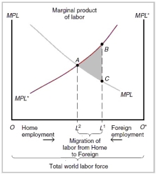  -Refer to the graph above.Points A,B,and C represent ________,________,and ________,respectively. A)  equilibrium wage rate after migration from home to foreign has occurred; the wage rate in foreign before migration; the wage rate in home before migration B)  equilibrium wage rate after migration from foreign to home has occurred; the wage rate in home before migration; the wage rate in foreign before migration C)  the wage rate in home before migration; the wage rate in home after migration; the wage rate in foreign after migration D)  the global wage rate before migration; the wage rate in foreign after migration; the wage rate in home after migration E)  the global wage rate before migration; the wage rate in home after migration; the wage rate in foreign after migration