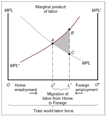   -Refer to the graph above. Points A, B, and C represent ________, ________, and ________, respectively. A)  the global wage rate before migration; the wage rate in foreign after migration; the wage rate in home after migration B)  the global wage rate before migration; the wage rate in home after migration; the wage rate in foreign after migration C)  equilibrium wage rate after migration from foreign to home has occurred; the wage rate in home before migration; the wage rate in foreign before migration D)  equilibrium wage rate after migration from home to foreign has occurred; the wage rate in foreign before migration; the wage rate in home before migration E)  the wage rate in home before migration; the wage rate in home after migration; the wage rate in foreign after migration