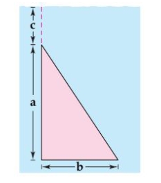 Find the fluid force of a triangular vertical plate submerged in water, where the dimensions are given in meters   and the weight-density of water is 9800 newtons per cubic meter.   A)    B)    C)    D)    E)   