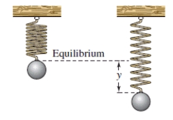  An object weighing W pounds is suspended from the ceiling by a steel spring (see figure) .The weight is pulled downward (positive direction) from its equilibrium position and released.The resulting motion of the weight is described by the function​  y = \frac { 1 } { 2 } e ^ { - \frac { t } { 4 } } \cos 2 t , t > 0  ​ where y is the distance (in feet) and t is the time (in seconds) . Use a graphing utility to select the graph of the function. ​​   ​ A) ​   B) ​   C) ​   D) ​   E) ​   