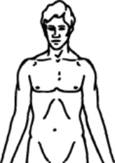 A patient is being admitted for treatment of trigeminal neuralgia. Place an X on the body part on which the nurse should focus the assessment for this health problem.   