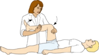 The nurse is assessing the patient using the technique shown. Which finding should the nurse consider normal?   A)  pain only at the hip during flexion B)  resistance in the hip joint C)  a clicking sound in the knee upon flexion D)  no pain or resistance in either hip or knee joint