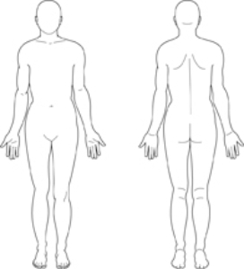 A patient experiencing intermittent claudication points to the area of the body where this occurs. Place an  X  on the diagram below indicating which body part is involved.   