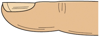 The nurse is assessing a patient for nail clubbing. Place an  X  on the area of the fingernail that the nurse should examine.   