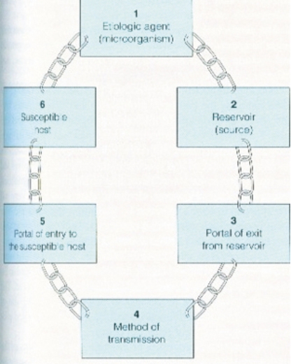 When caring for a patient with an infection, the nurse provides a stethoscope that remains in the patient's room. Place an  X  where the chain of infection is being interrupted.   