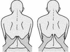 When performing an assessment of the patient's respiratory system, the nurse uses the following illustrated technique to evaluate   A)  chest expansion. B)  tactile fremitus. C)  accessory muscle use. D)  diaphragmatic excursion.
