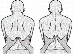 When performing an assessment of the patient's respiratory system, the nurse uses the following illustrated technique to evaluate   A)  bronchophony. B)  chest expansion. C)  accessory muscle use. D)  diaphragmatic excursion.