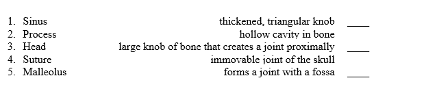 Match the surface feature of bone to its definition.   