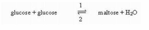 Which arrow in the following equation represents dehydration?   A) Arrow 1 B) Arrow 2