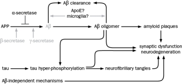 Figure Q11-9 shows several molecules that have been targeted for Alzheimer's therapy. Explain the rational for targeting each molecule: Figure Q11-9 A. α-secretase B. Microglia C. ApoE