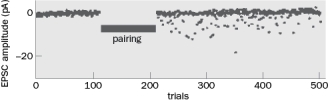 Figure Q10-15 illustrates the data from one of the original experiments that showed evidence for 'silent synapses'. CA3 axons were stimulated while the postsynaptic response when the CA1 neuron were voltage-clamped at -65 mV.   Figure Q10-15 A. Why were the CA1 neurons held at -65 mV? B. What happened when the CA3 axons were stimulated before pairing, in which the presynaptic CA3 neurons were stimulated while the CA1 neurons were depolarized and what are two reasons for the result? C. What happened when the CA3 axons were stimulated after 'pairing' and what was the interpretation of the result? D. Summarize the idea of 'silent synapses' as a form of synaptic plasticity. Include the basic conclusions drawn from the experiments outlined in this and the previous experiment.