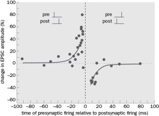 Figure Q10-21 demonstrates spike-timing dependent activity.   Figure Q10-21 A. What is the approximate change in EPSC amplitude when the presynaptic input occurs 60 ms prior to the postsynaptic action potential? B. What is the approximate change in EPSC amplitude when the presynaptic input occurs 10 ms before the postsynaptic action potential?