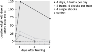 Figure Q10-29 shows short- and long-term memory in Aplysia using the gill withdrawal reflex.   Figure Q10-29 A. What would happen to the 4 single shock response if cAMP was inhibited? B. What would happen to the 4 single shock response if CREB was inhibited? C. What would happen to the 4 days, 4 trains per day response if CREB was inhibited?
