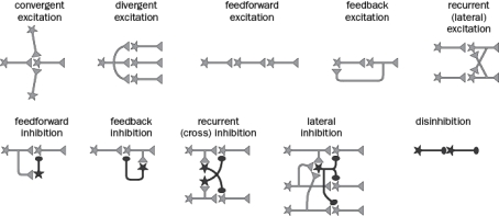 Figure Q1-14 shows commonly used circuit motifs. Identify the type of circuit motif featured in each of the following examples.   Figure Q1-14 A. In the vertebrate retina, afferent neurons excite inhibitory interneurons that project onto the targets of their neighbors. B. Sensory neurons relay somatosensory stimuli to the primary somatosensory cortex via nuclei in the brainstem and thalamus. C. A class of cerebral cortical neurons inhibits other classes of inhibitory neurons in the brain, indirectly increasing the activity of final targets. D. In the insect olfactory system, excitatory projection neuron axons project to two different brain structures, the mushroom body and the lateral horn. E. In the vertebrate knee-jerk reflex, two parallel excitatory pathways inhibit each other via inhibitory neuron intermediates.