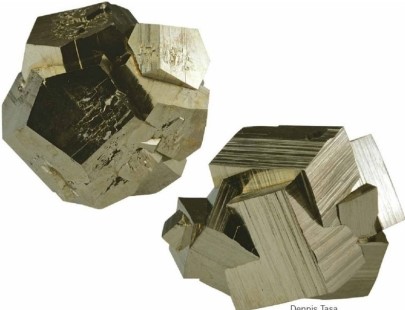   Both of the samples pictured here are examples of the mineral pyrite. The physical property that sets them apart is ________. A) reaction to hydrochloric acid B) crystal habit C) streak D) specific gravity