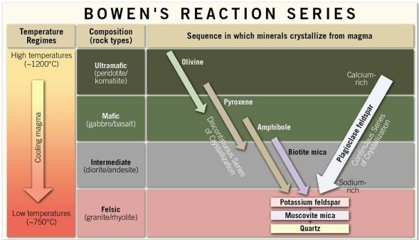   In general, which of the statements below best describe what happens in terms of composition as crystallization proceeds down the Bowen's reaction series (shown in the figure) ? A) The early-formed silicates are enriched in iron and magnesium, resulting in such rocks as andesite and granite. As crystallization proceeds, the later-formed silicates are enriched in sodium, potassium, and silicon, resulting in peridotite and basalt. B) The early-formed carbonates are enriched in calcium and carbonate, resulting in such rocks as limestone. As crystallization proceeds, the later-formed carbonates are enriched in fossils, resulting in fossiliferous limestone and coquina. C) The early-formed silicates are enriched in iron and magnesium, resulting in such rocks as peridotite and basalt. As crystallization proceeds, the later-formed silicates are enriched in sodium, potassium, and silicon, resulting in andesite and granite. D) The early-formed silicates are enriched in sodium, potassium, and silicon, resulting in such rocks as peridotite and basalt. As crystallization proceeds, the later-formed silicates are enriched in iron and magnesium, resulting in andesite and granite.