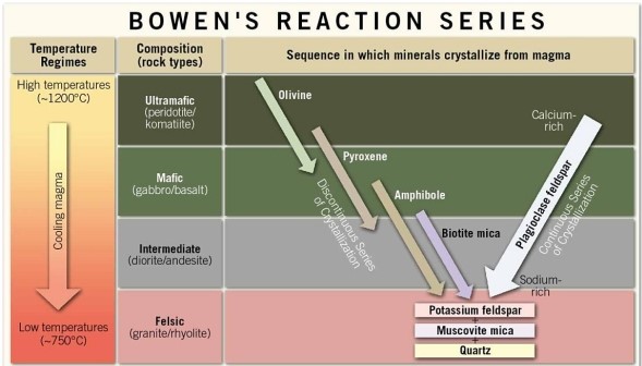   Consult the image that depicts Bowen's reaction series. What can be said of the temperature at which a granite crystallizes? A) Granite crystallizes at temperatures of about 750° C. B) Granite crystallizes at temperatures of about 900° C. C) Granite crystallizes at temperatures of about 1200° C. D) Nothing can be deduced from this chart about the crystallization temperature of any igneous rock.