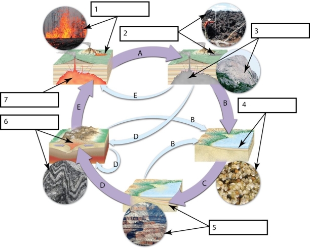 Label each process or set of processes (lettered arrows)and Earth materials (numbered boxes).   