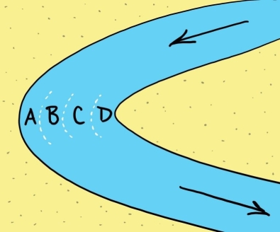   Examine the sketch of a bend in a river. The arrows show the water flow direction. In which of the four lettered locations will the water be moving at the highest velocity? A) A B) B C) C D) D