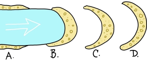   Which of the four lettered positions on this map-view sketch shows the location of the terminal end moraine? A) A B) B C) C D) D