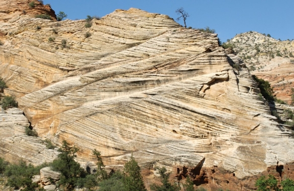    Examine the photo. Is it true or false to say,  the dunes that deposited these cross beds were moving from the left to the right ?