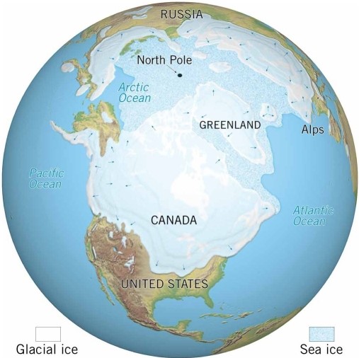    The ________ period of geologic time is depicted in this image.