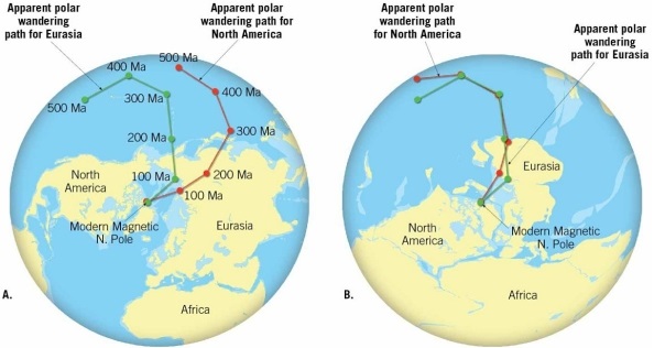    Which of these two sets of apparent polar wander paths shows the  fixed continent  model and which shows the  plate tectonics  model? Explain.