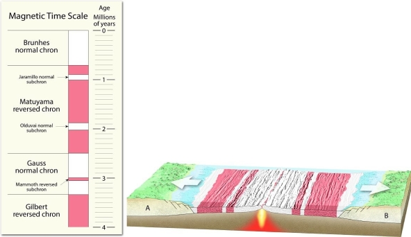    Examine the cross-section through a hypothetical ocean basin. Use the magnetic time scale at left to determine when continents A and B separated from one another. Justify your answer.