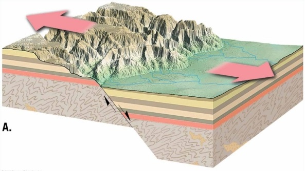   What kind of fault is illustrated in this figure? A) normal fault B) reverse fault C) thrust fault D) strike-slip fault