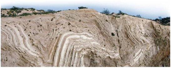    These rock layers in this photo have experienced elastic deformation.