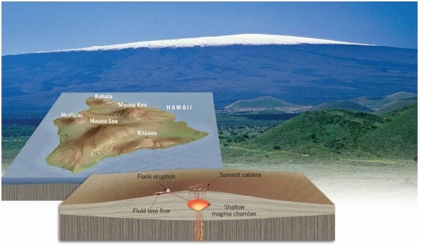   Mauna Loa, a volcano in Hawaii, is an excellent example of a ________. A) shield volcano B) cinder cone C) composite volcano D) volcanic neck