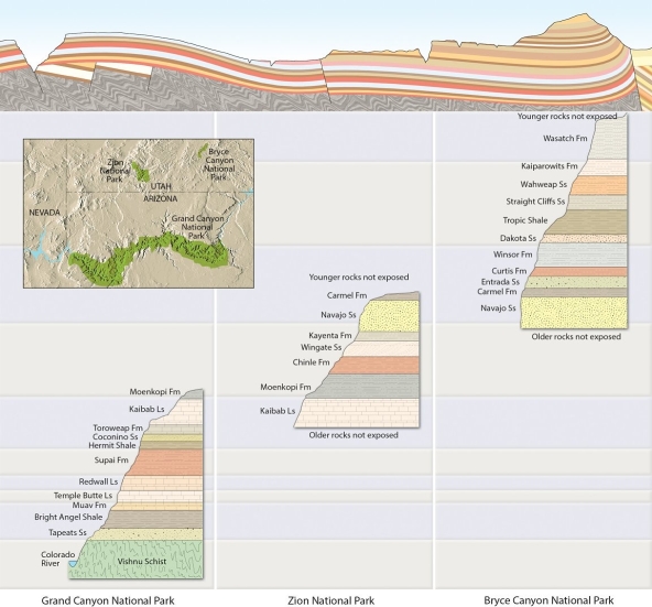   Since the Moenkopi Formation was deposited at the end of the Permian period and the very beginning of the Triassic, and the Navajo Sandstone was deposited at the end of the Triassic and into the Jurassic, what is the age of the Chinle Formation? A) Permian B) Triassic C) Jurassic D) Cambrian