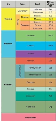    Examine the geologic timescale shown here. Which is the longest-lasting period of geologic time? Which is the shortest period? Why should these periods differ so much in their durations?