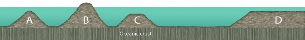 <strong> Which of the four lettered locations in this figure shows a guyot?</strong> A)A B)B C)C D)D