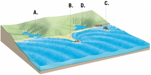 Examine the figure. Identify and label each of the lettered locations with the name of the shoreline feature shown there.   
