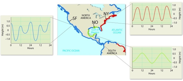    Examine the figure. Identify the type and describe the tidal patterns observed over the course of a day in three U.S. cities: San Francisco, California (SF), New Orleans, Louisiana (NO), and New York, New York (NY).