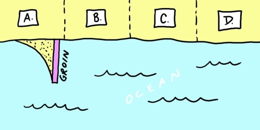    Examine the map shown here. You are considering buying property  C  on this stretch of coastline. Before signing the contract on the property, you hear that the owners of property  B  are considering building a groin like their neighbors recently did on property  A.  Should you reconsider your purchase? Explain.