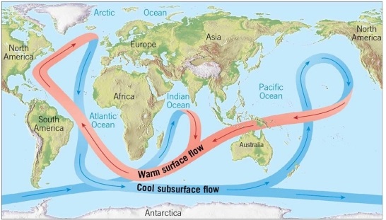    Climate change is particularly acute in the Arctic. Some scientists are concerned about the melting of the Greenland ice sheet because the extra water will cause sea level to rise around the globe. However, another concern is related to the thermohaline  conveyer belt  of ocean circulation. How might the melting of the Greenland ice sheet cause changes to that pattern of currents?