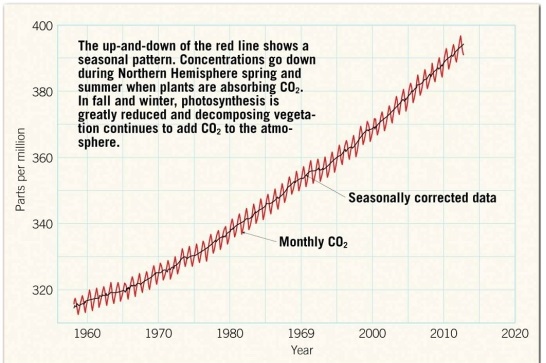    Examine the graph. Note that the explanatory label indicates that during the Northern Hemisphere summer, CO₂ concentrations decrease because plants consume that gas during photosynthesis. But when it is summer in the Northern Hemisphere, it is winter in the Southern Hemisphere. When it is winter in the Northern Hemisphere, it is summer in the Southern Hemisphere. Why doesn't the Southern Hemisphere summer show this same CO₂ drawdown?