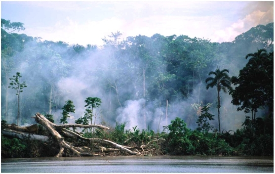    Explain how the events/processes depicted in this photo might influence climate.