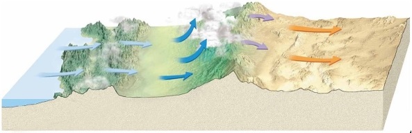   Examine the figure. Which process is illustrated? A) orographic lifting B) frontal wedging C) adiabatic cooling D) convergence