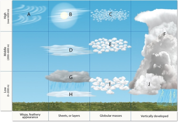 Identify and label each of the cloud types (indicated by letters)in the accompanying figure.   