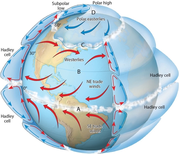   Examine the figure. Which of the four lettered latitudes would be the most likely site for clear skies? A) A B) B C) C D) D