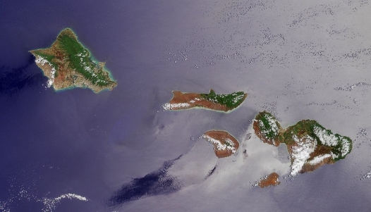 On the basis of vegetation patterns, cloud cover, and sea surface patterns (choppy or calm), identify the directions that the prevailing trade winds blow over the Hawaiian islands. Draw an arrow on this image to express your answer.     NASA image