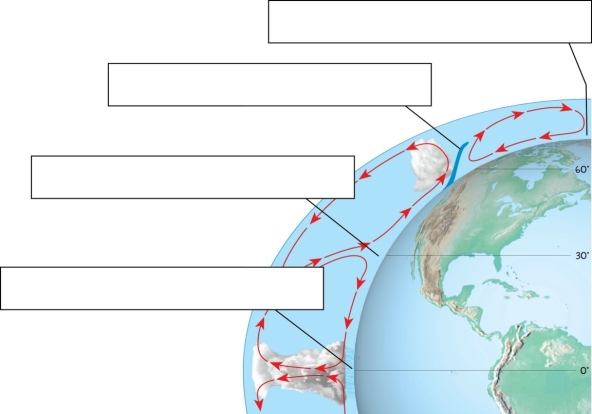 Identify and label the following four features on this diagram: a. equatorial low b. polar front c. subtropical high d. polar high   