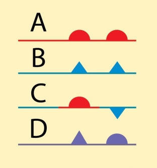   Examine the figure. Which of the symbols shown is used to illustrate a stationary front? A) A B) B C) C D) D